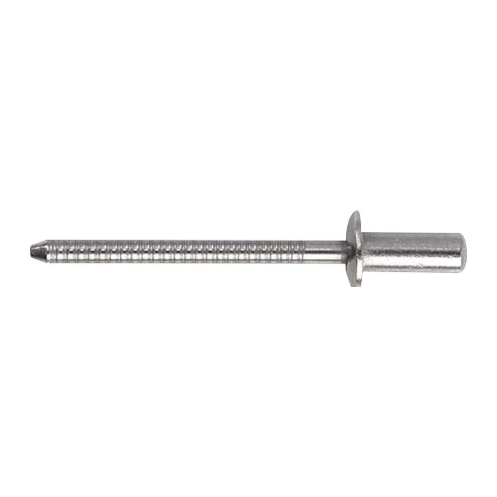 SS stud standard head 4 x 14 mm (pack of 1000) - foto originale Osculati Srl