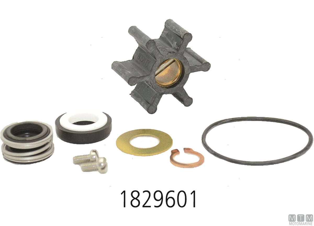 Service kit Johnson F5B-9 - original photo Motomarine Srl