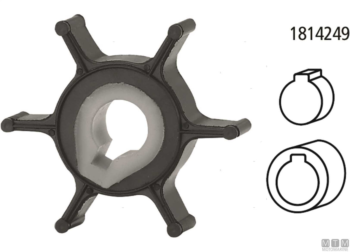 Impeller MTM - OEM Yamaha 6G1-44352-00 - original photo Motomarine Srl