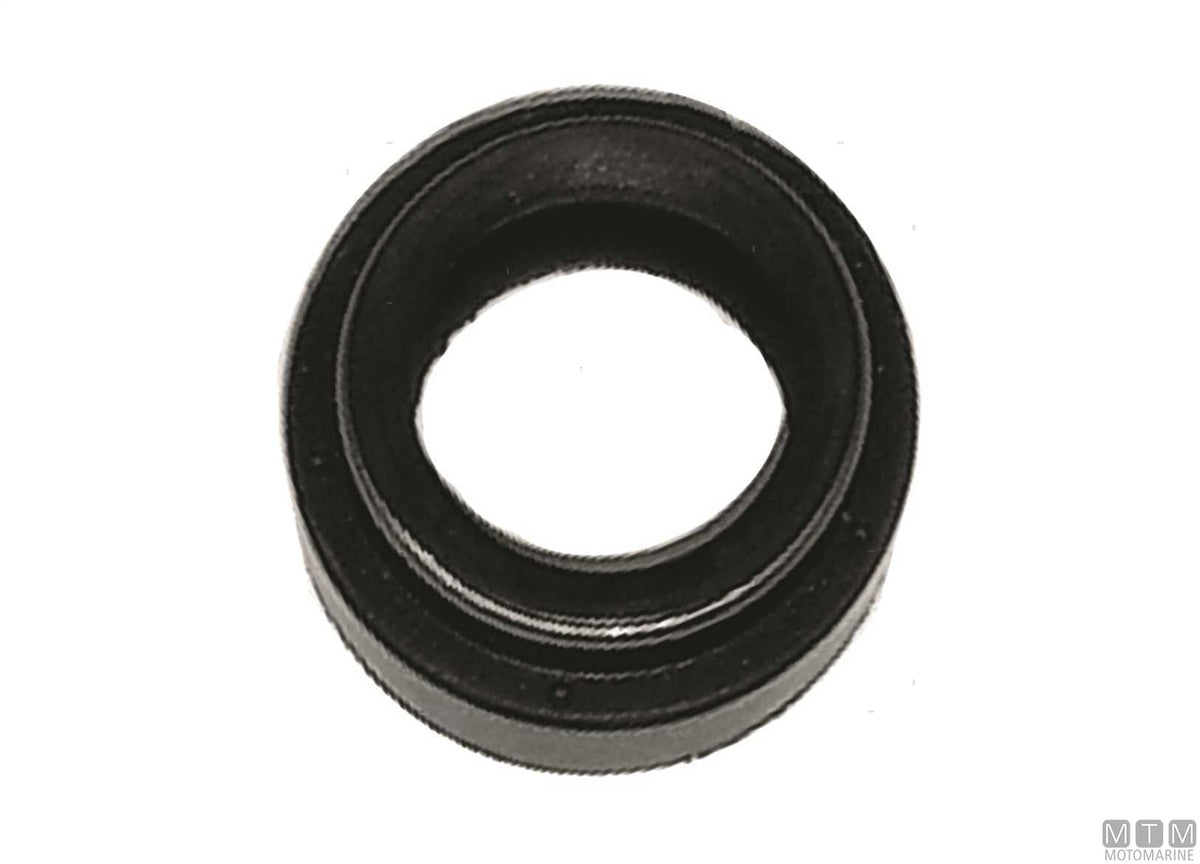 MTM oil seal ref. Johnson 341281 - original photo Motomarine Srl