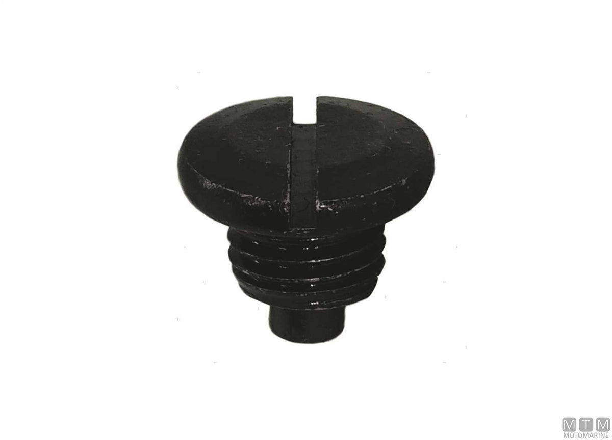 MTM oil drain screw ref. Suzuki 09248-10008 - original photo Motomarine Srl