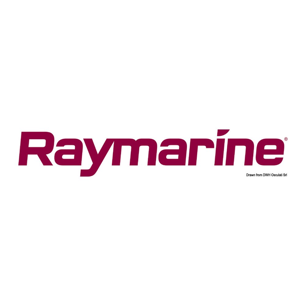 Raymarine E26009 transducer - foto originale Osculati Srl