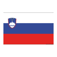 Bandiera Slovenia 40 x 60 cm