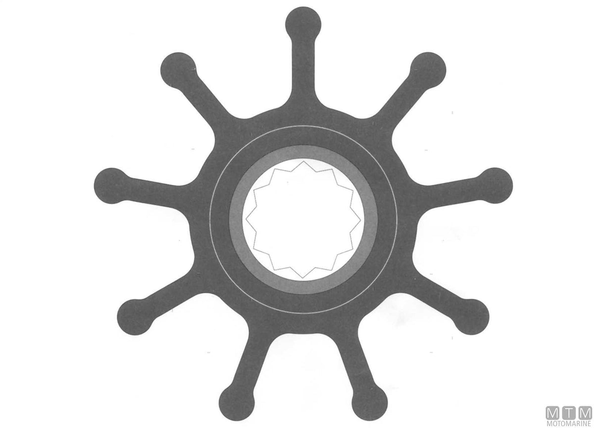 Johnson impeller 09-1029B - original photo Motomarine Srl
