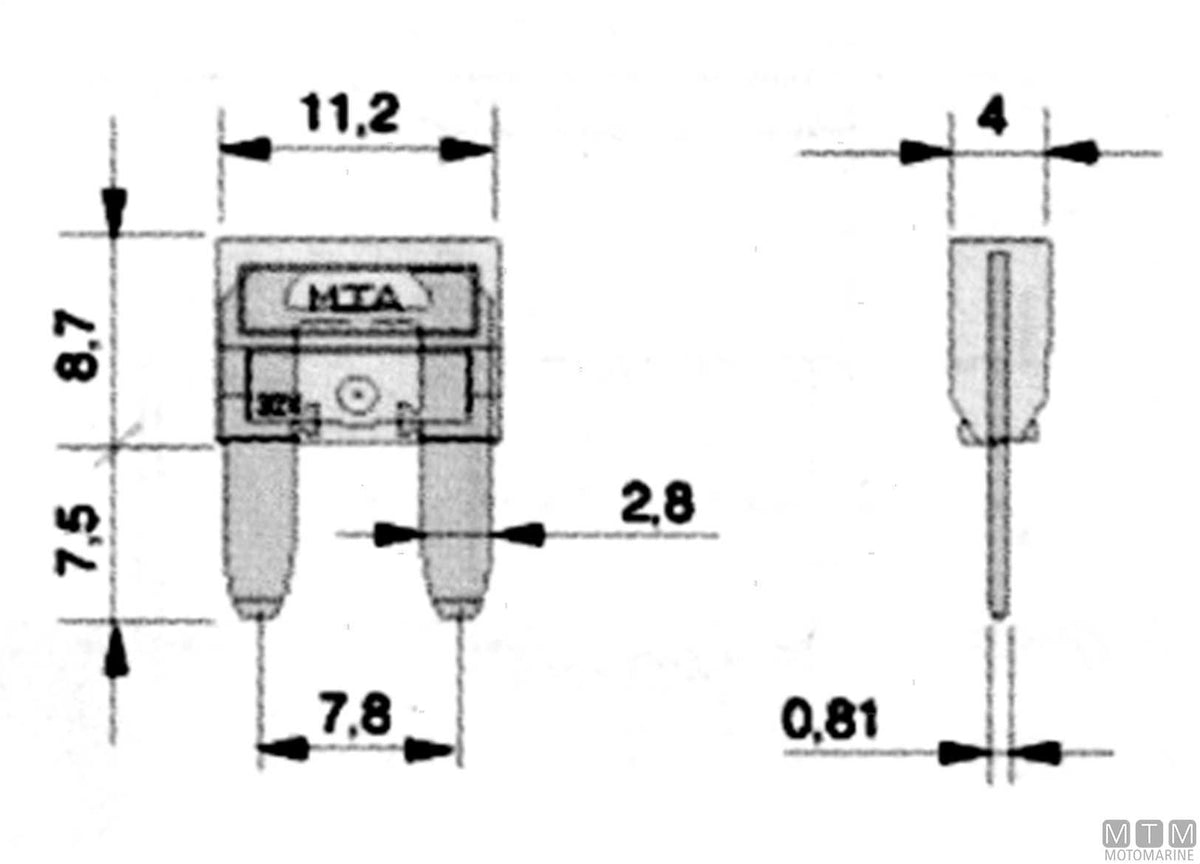 Minival fuse 3 A - original photo Motomarine Srl