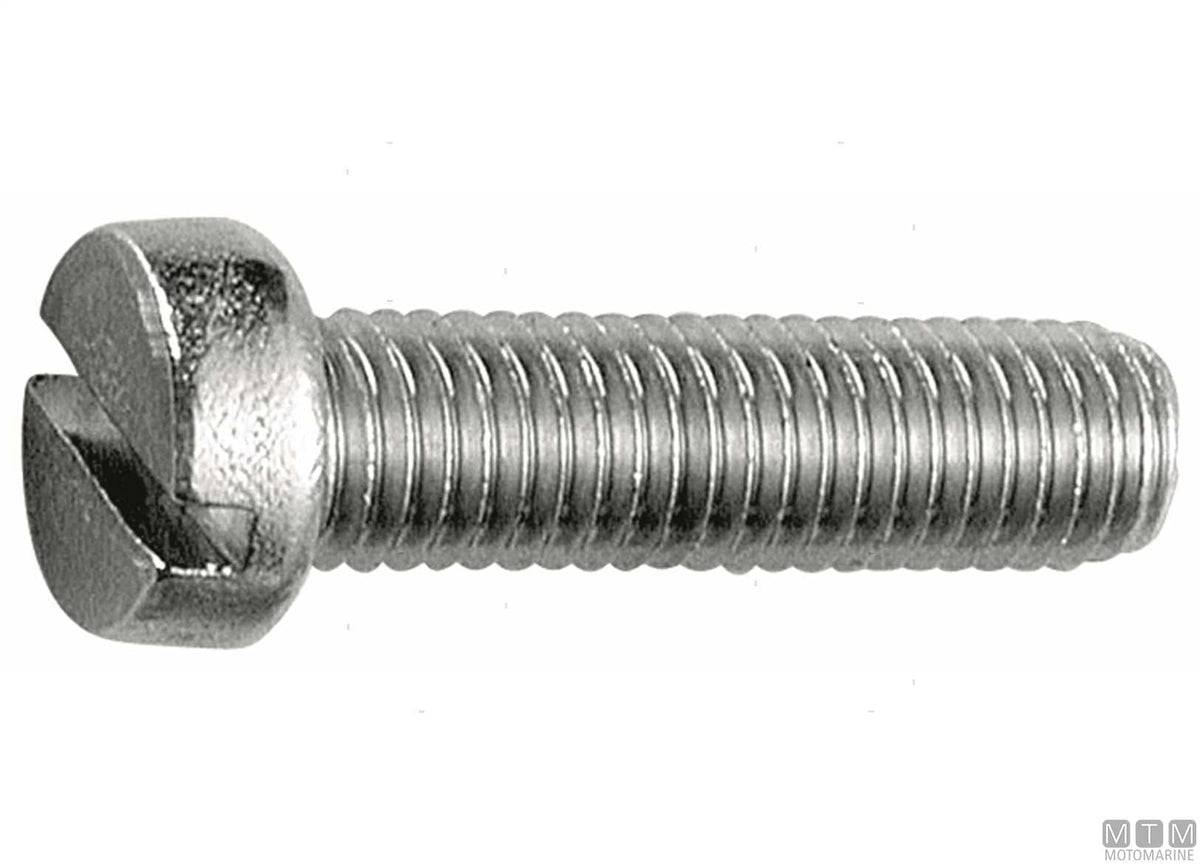 DIN84 A2 stainless steel cheese head screws M4x30, 100 pcs - original photo Motomarine Srl