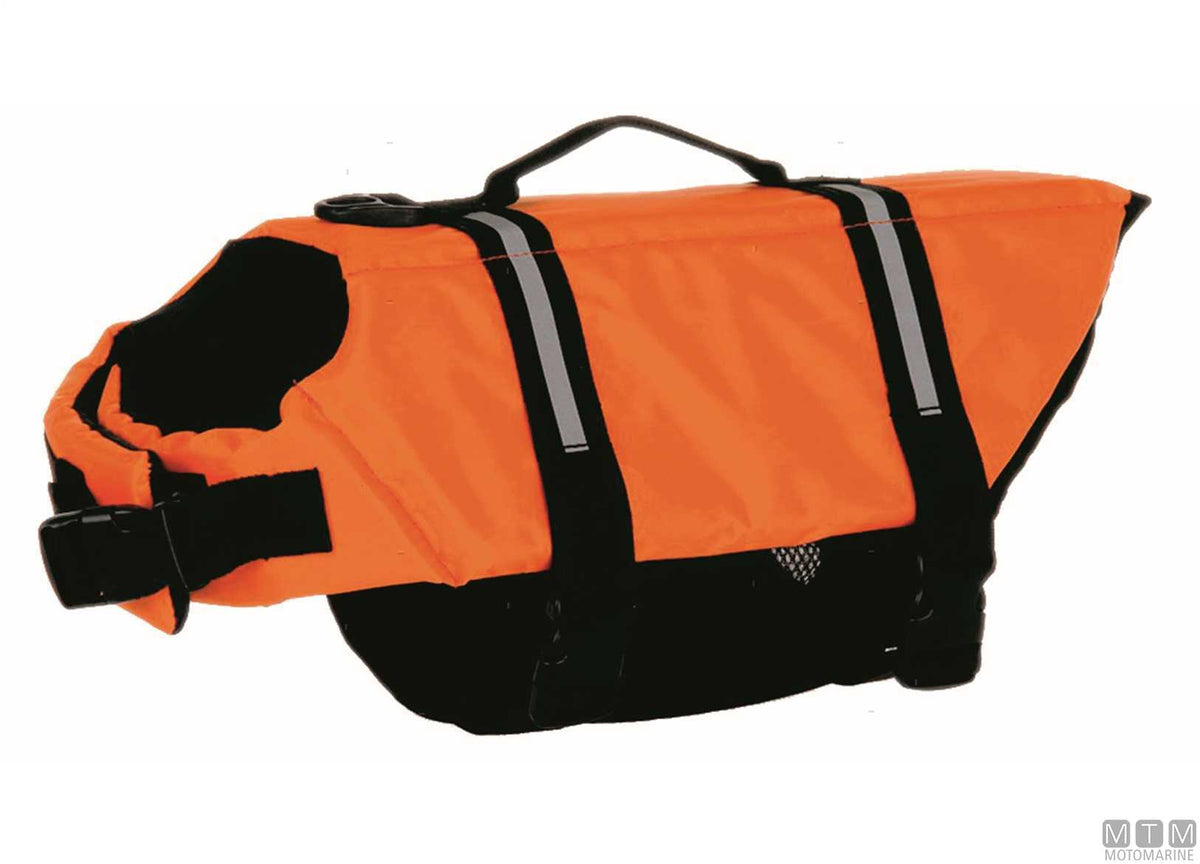 Life jacket for pets XXL - original photo Motomarine Srl