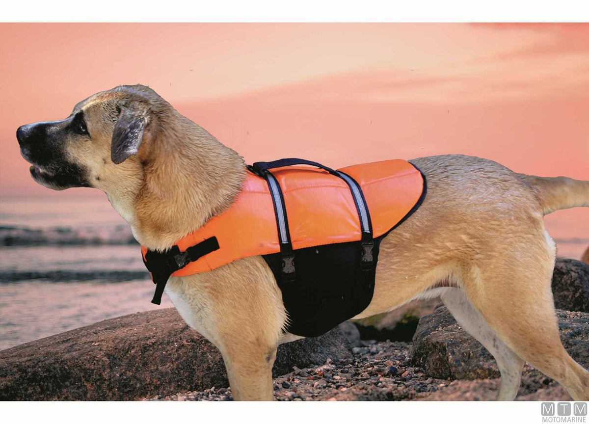 Life jacket for pets L - original photo Motomarine Srl
