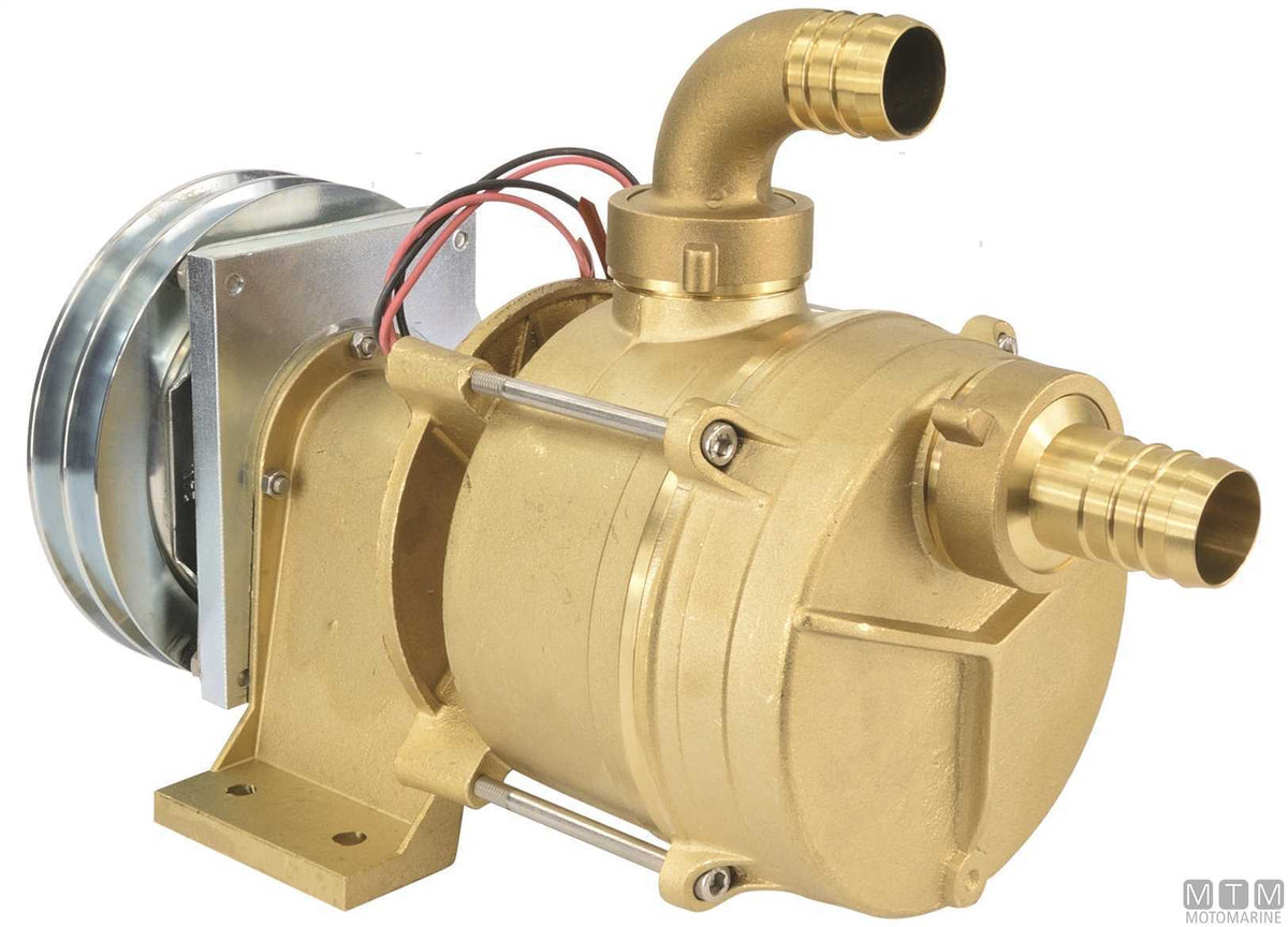 IFE series water pump with pulley 12V, Ø30 mm ports - original photo Motomarine Srl