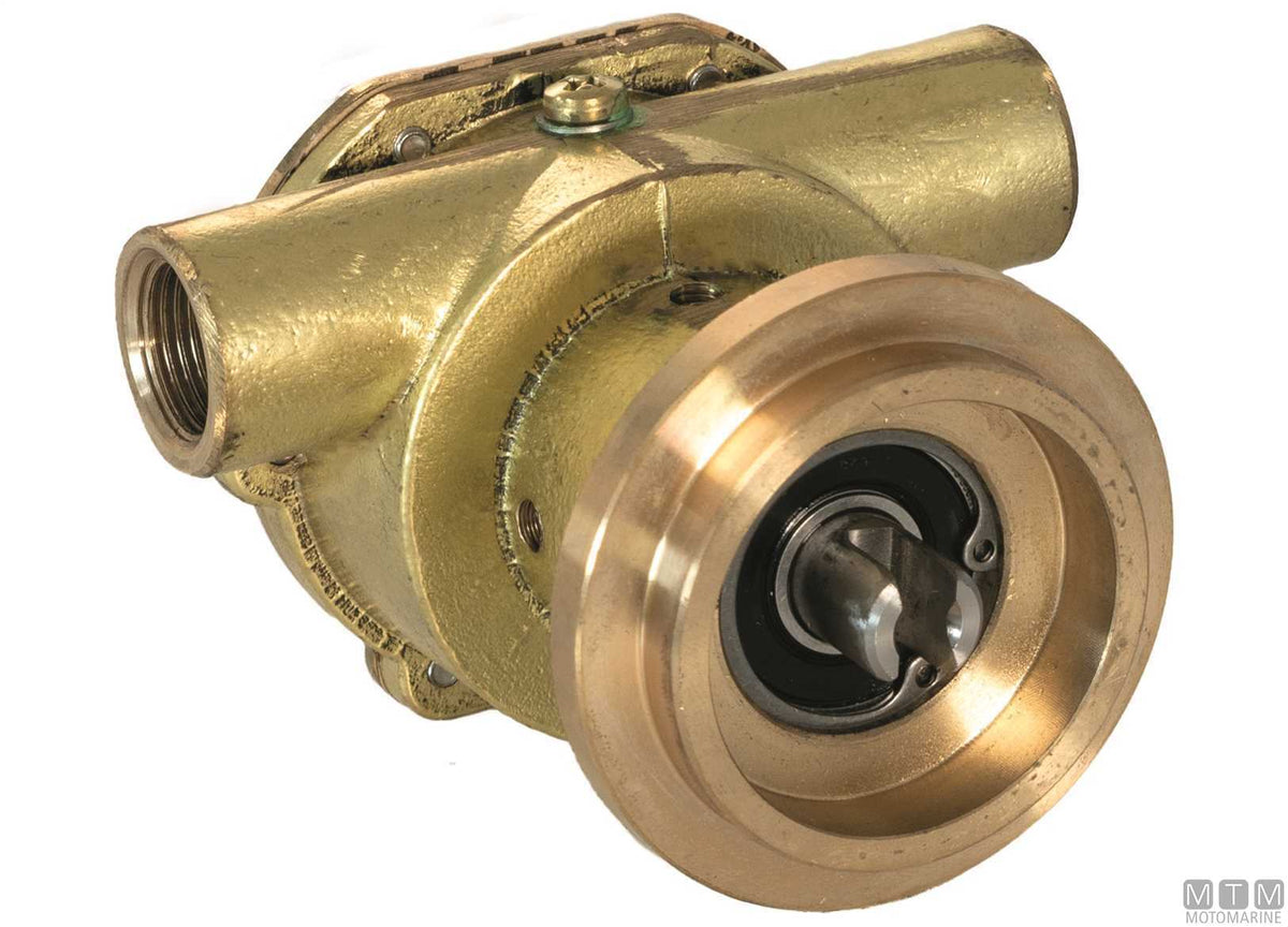Ancor ST 138 flanged pump - original photo Motomarine Srl