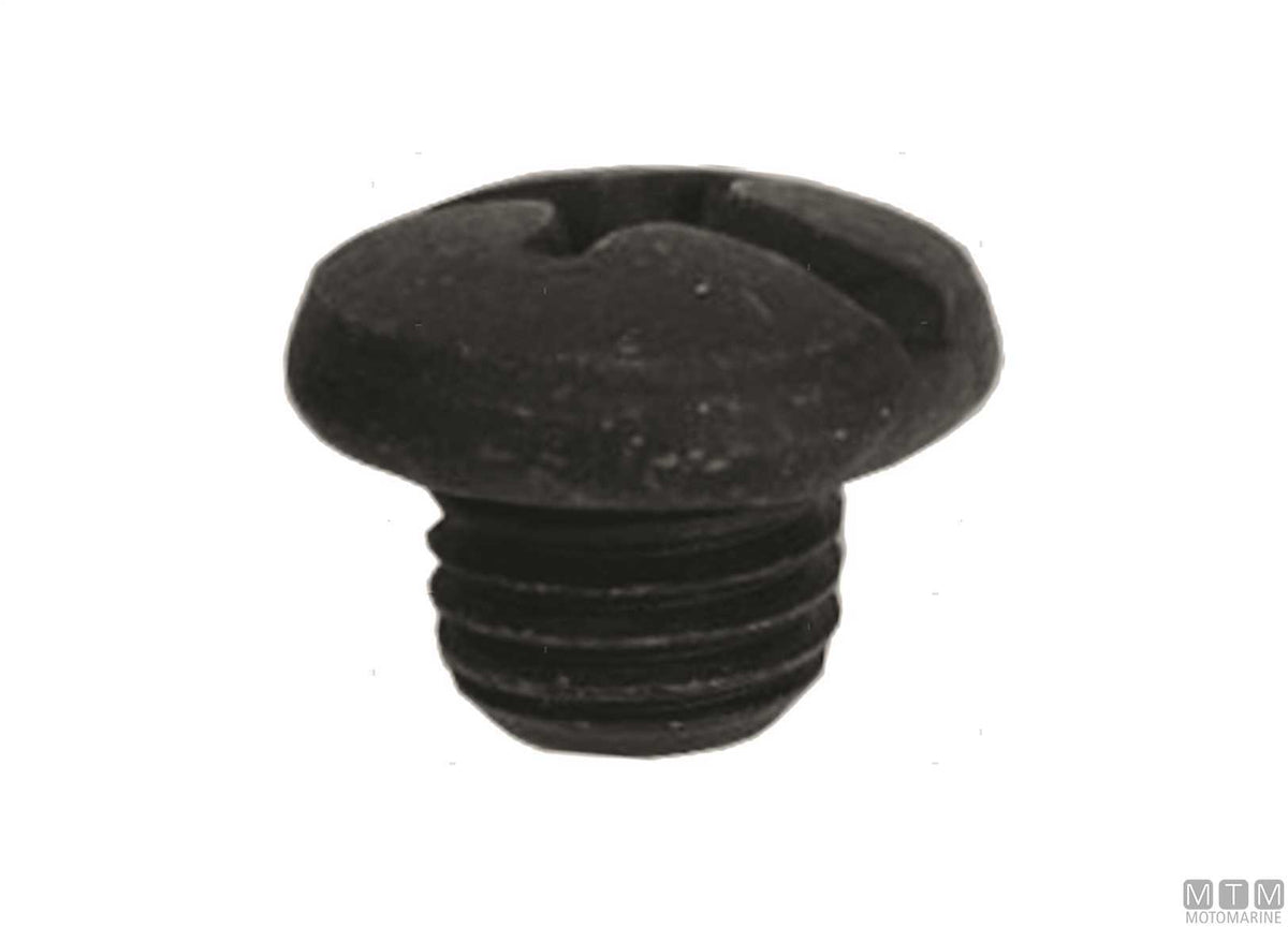 MTM oil drain screw ref. Suzuki 09248-10008 - original photo Motomarine Srl