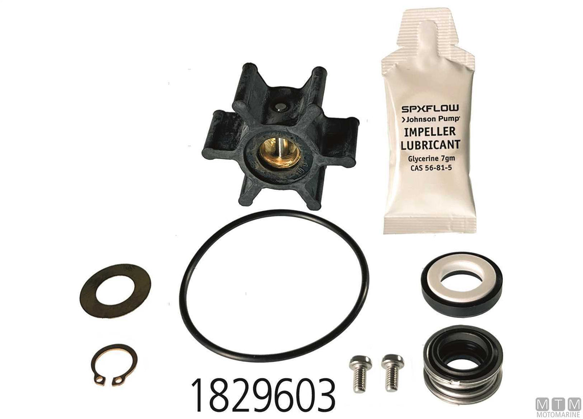 Service kit Johnson F5B-8 - original photo Motomarine Srl